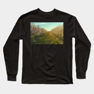 Morning at Almond Farm Long Sleeve T-Shirt